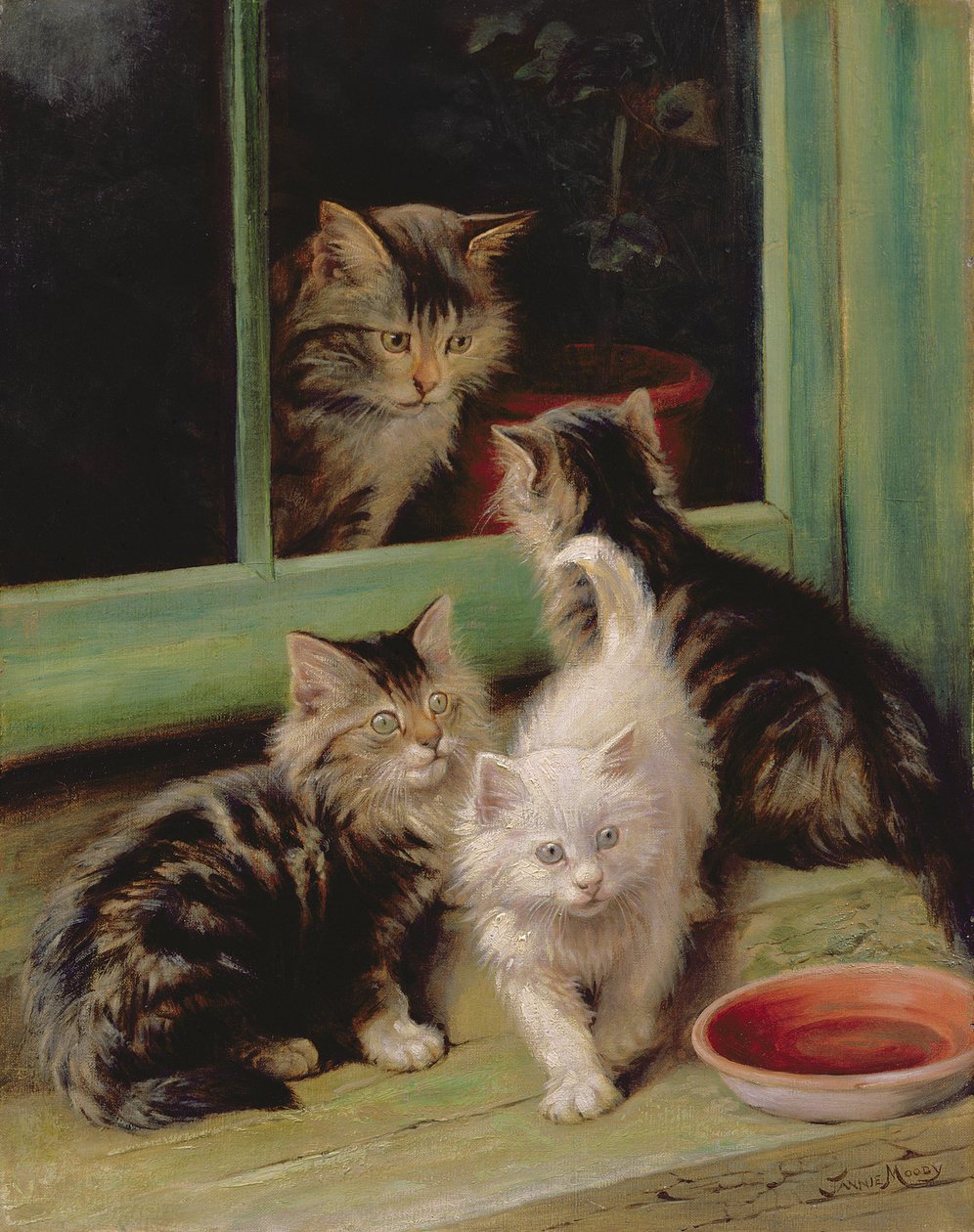 Gattini da Fannie Moody