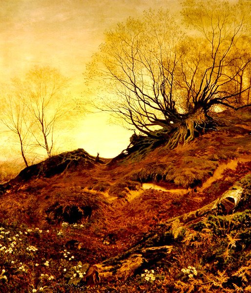 Su Leith Hill, Surrey da Fanny Mearns