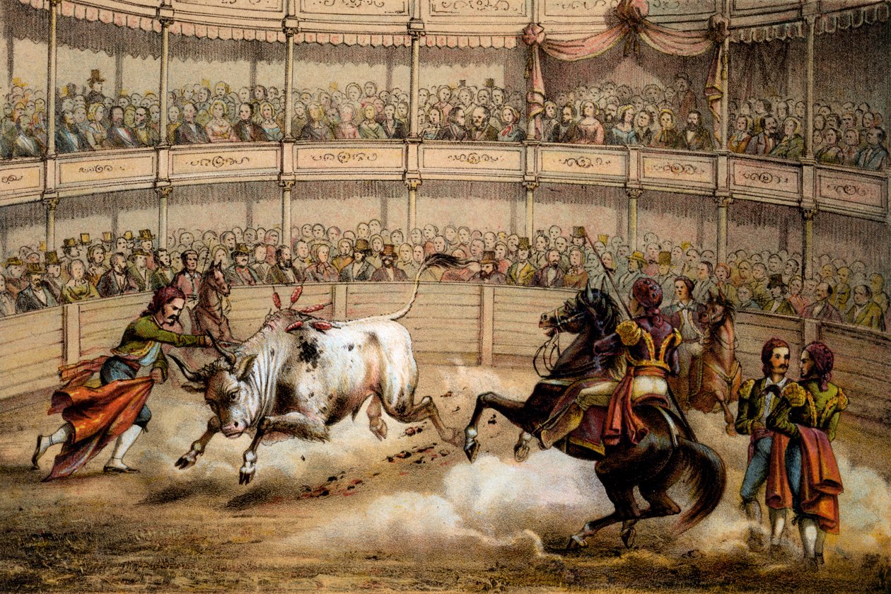 Corrida, 1840 da Federico Mialhe