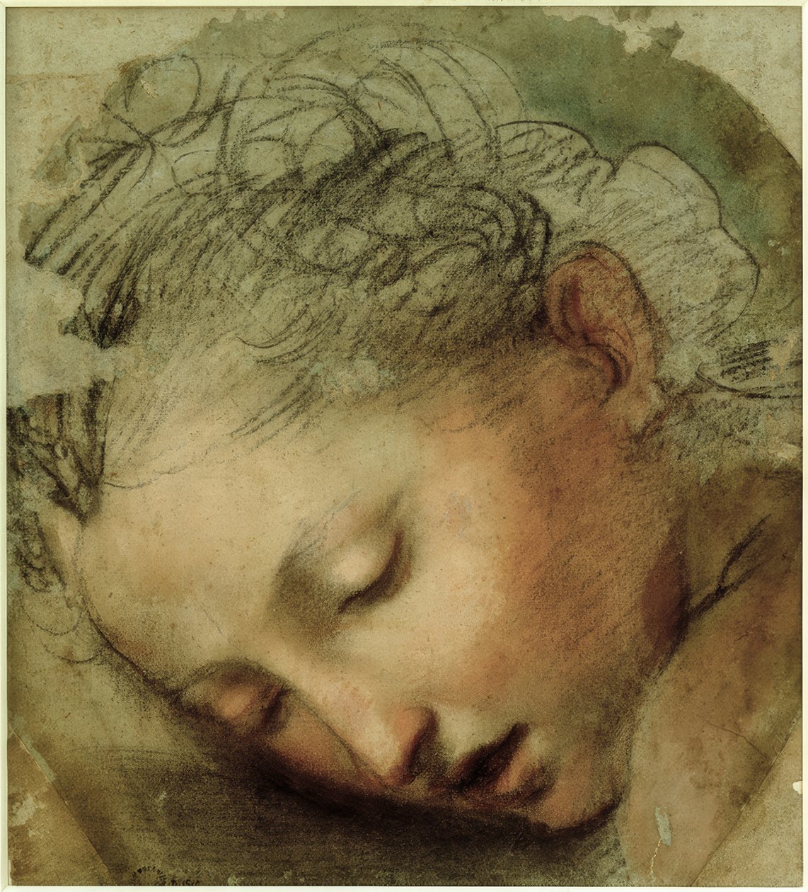 Testa di donna, 1568 da Federico Barocci