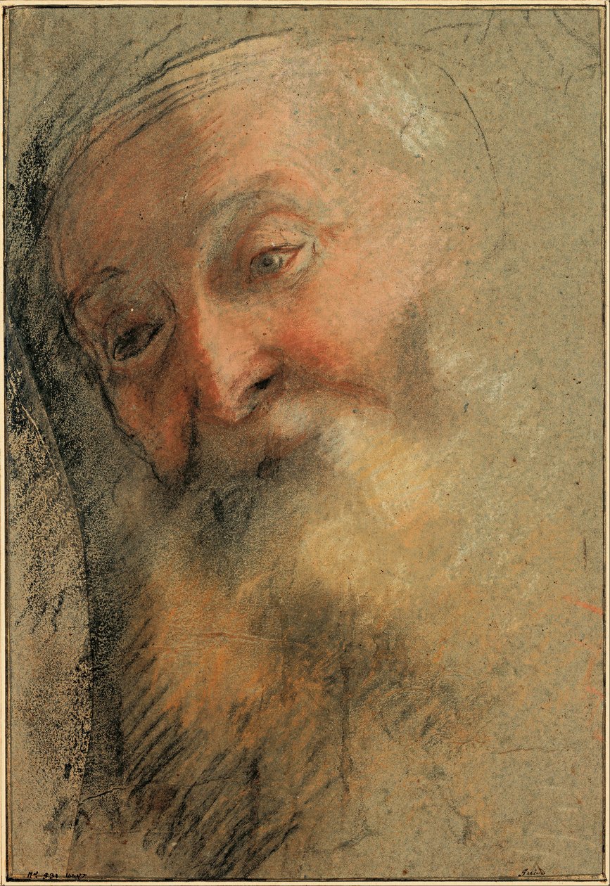 Testa di un vecchio barbuto da Federico Barocci