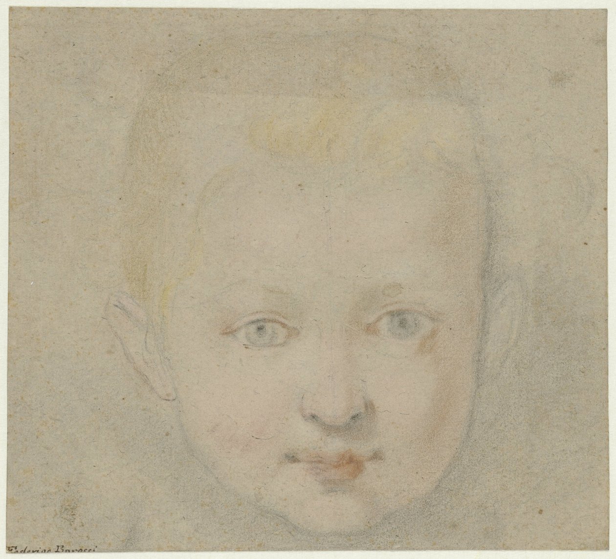 Testa di bambino da Federico Barocci