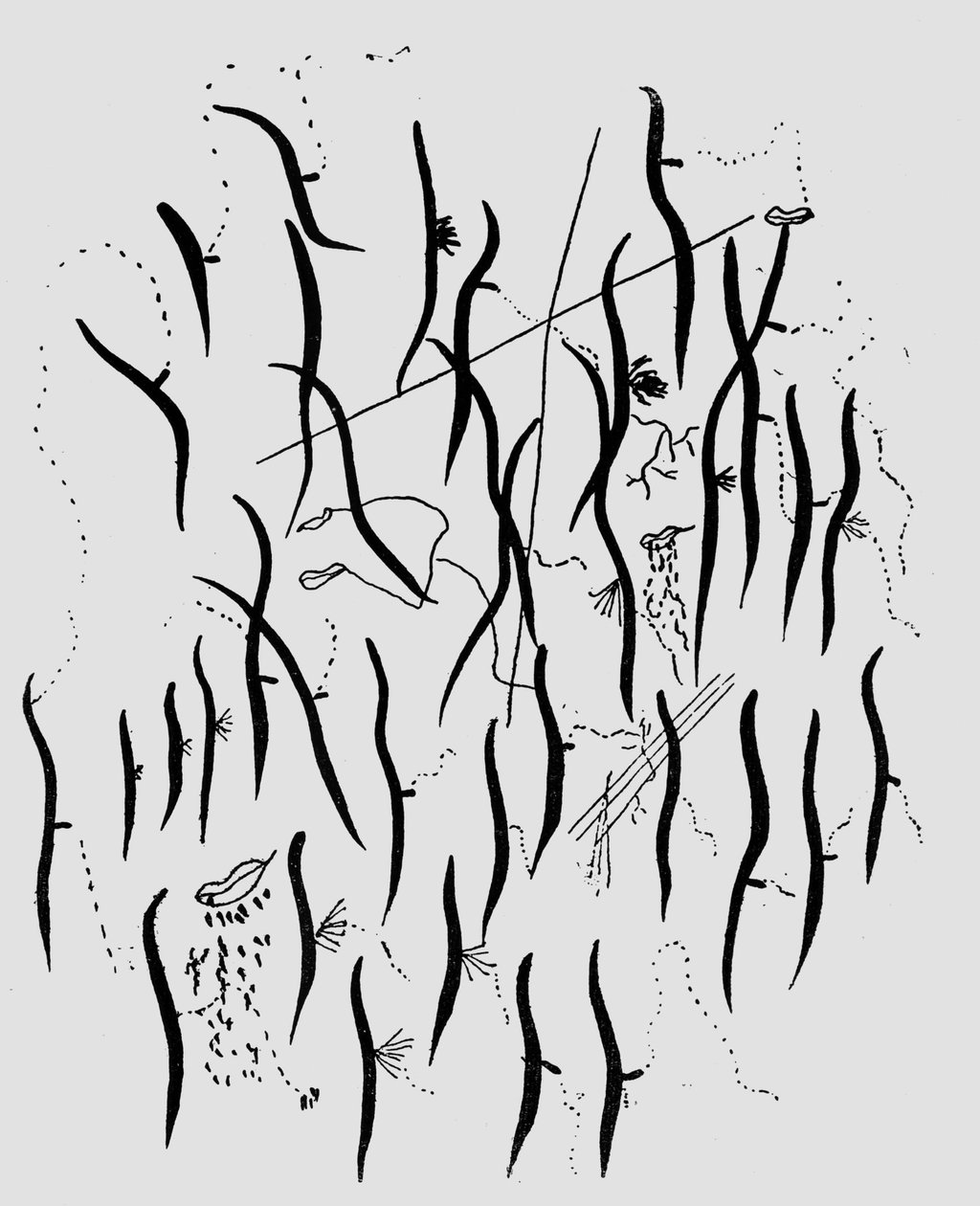Parque, illustrazione da 