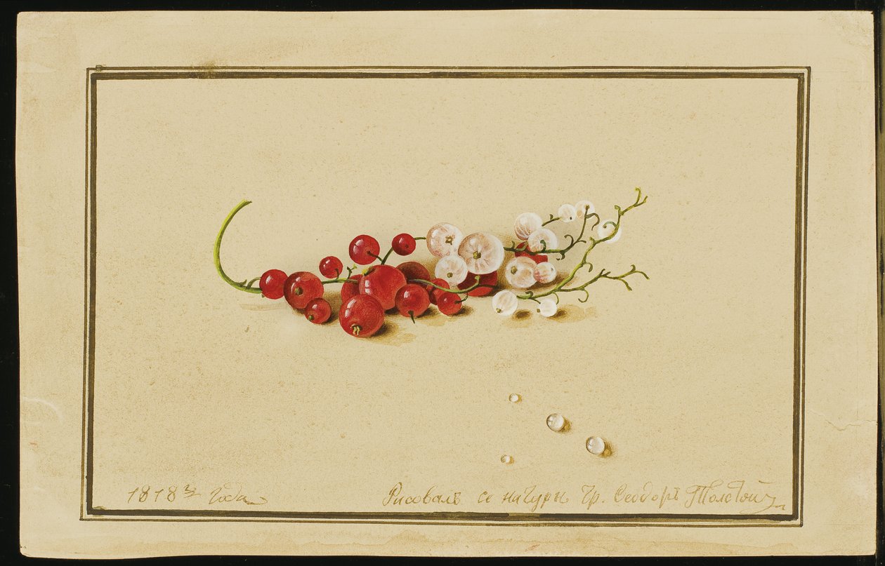 Ribes rosso e bianco, 1818 da Fedor Petrovich Tolstoy