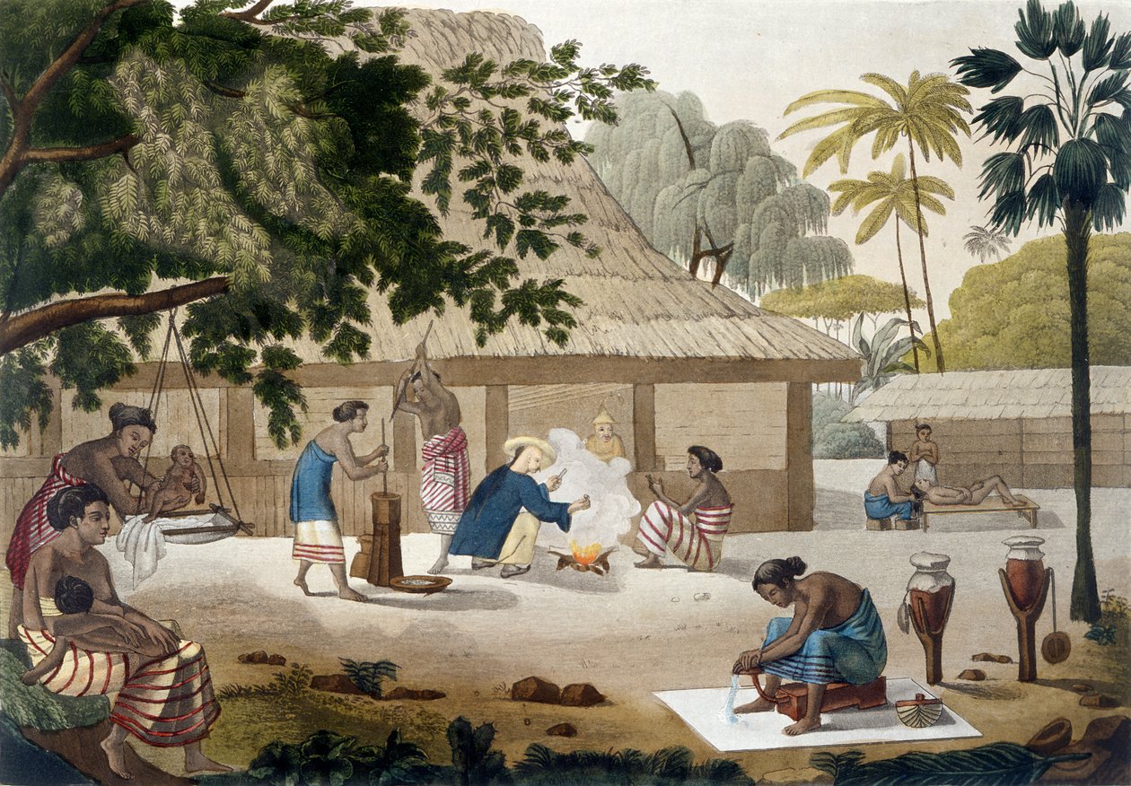 Vita domestica a Kupang, Timor, tavola 10 da 