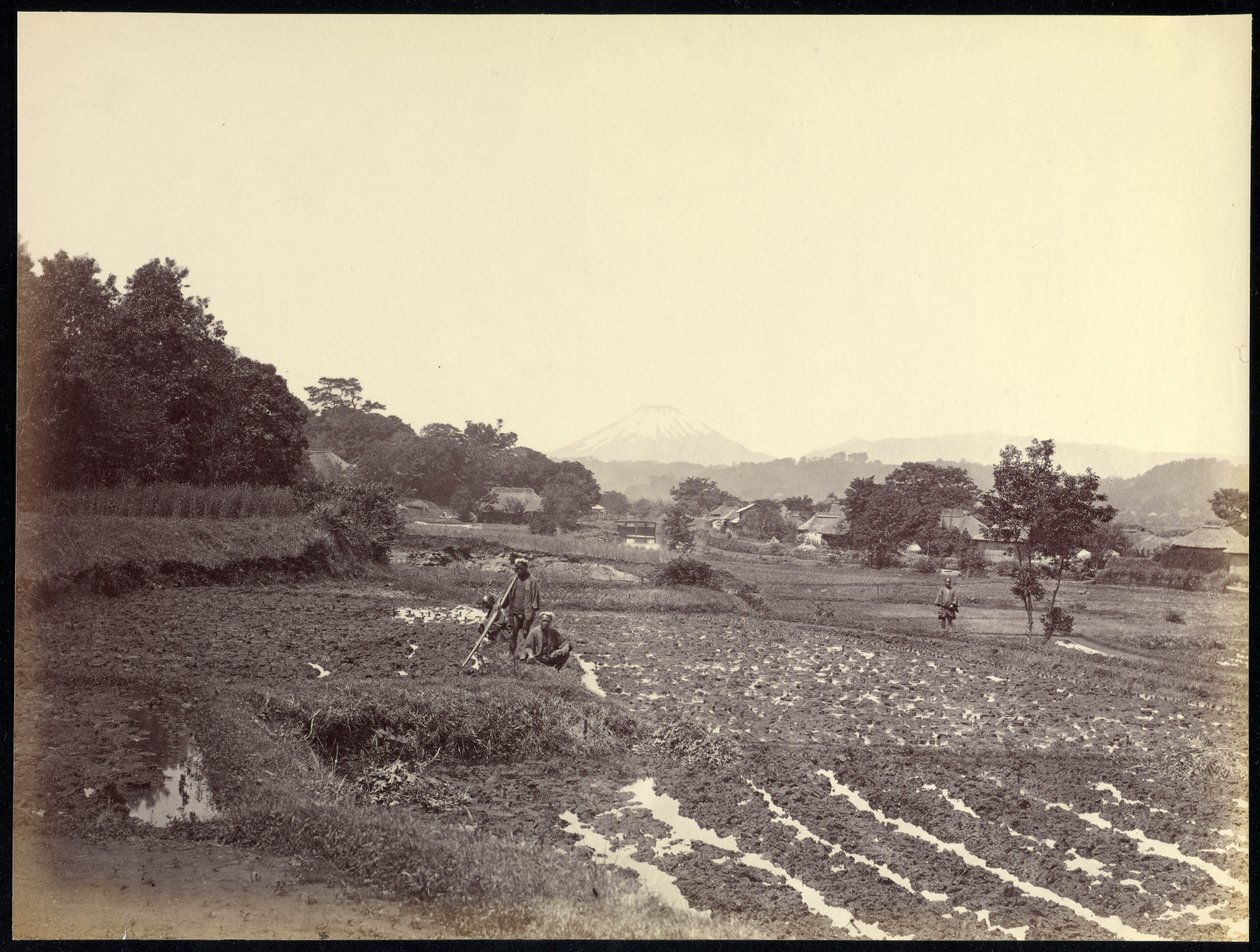 Fujiyama dalla Nuova Strada da Felice Beato