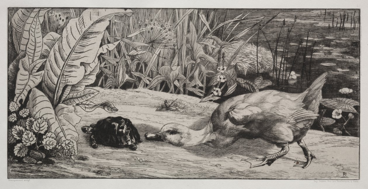 Uno sconosciuto da Felix Bracquemond