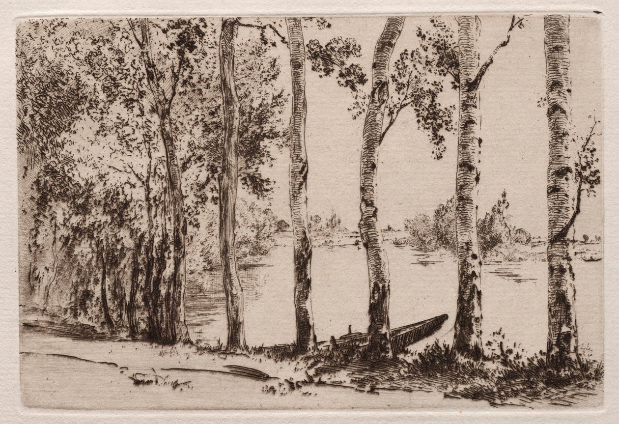 Pioppi sulla riva della Senna da Felix Bracquemond