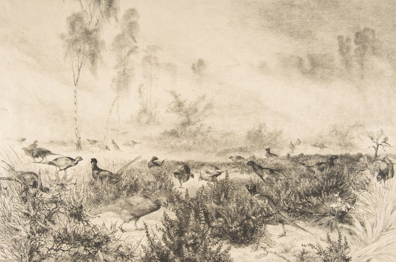 Nebbie del mattino, 1882 da Felix Bracquemond