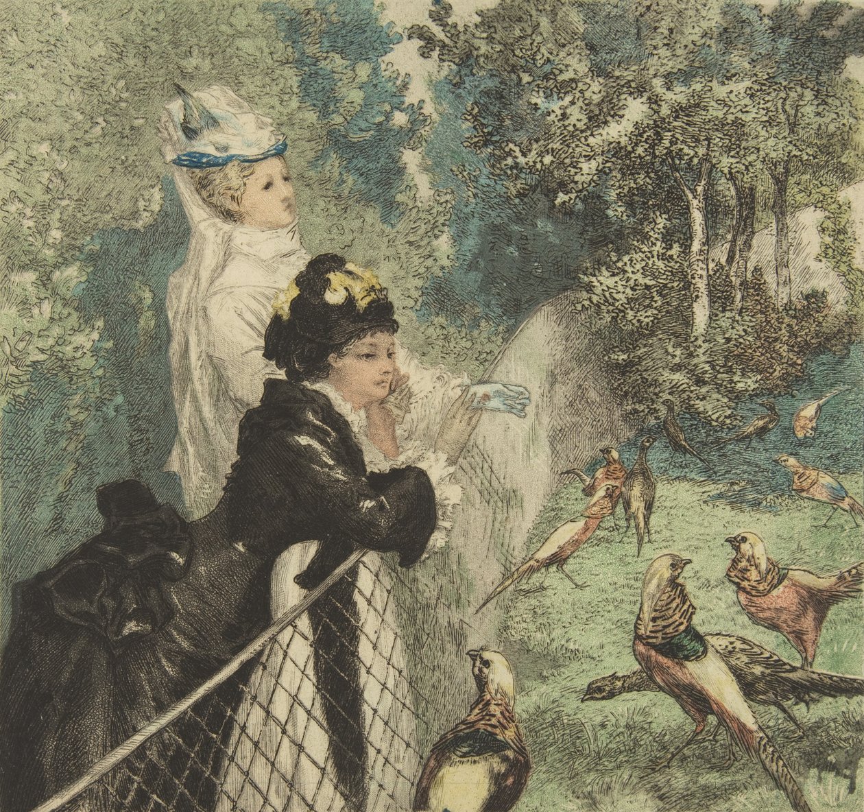 Nel giardino zoologico da Felix Bracquemond