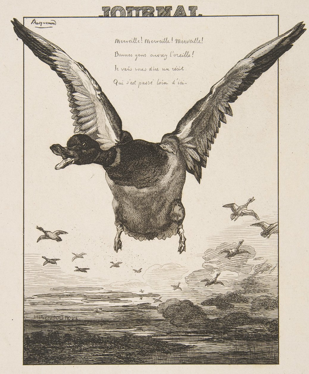 Le Canard da Felix Bracquemond
