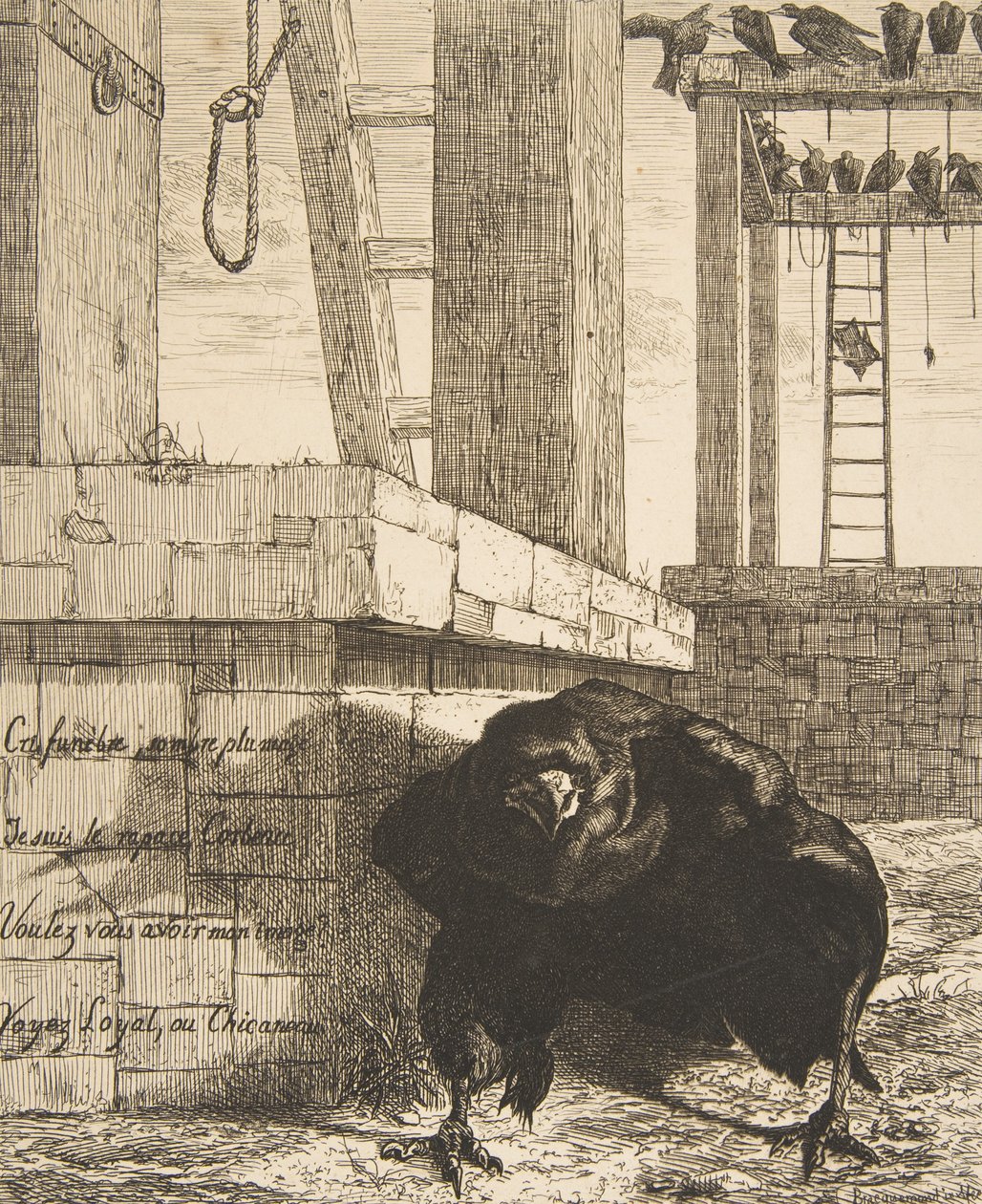 Il corvo da Felix Bracquemond