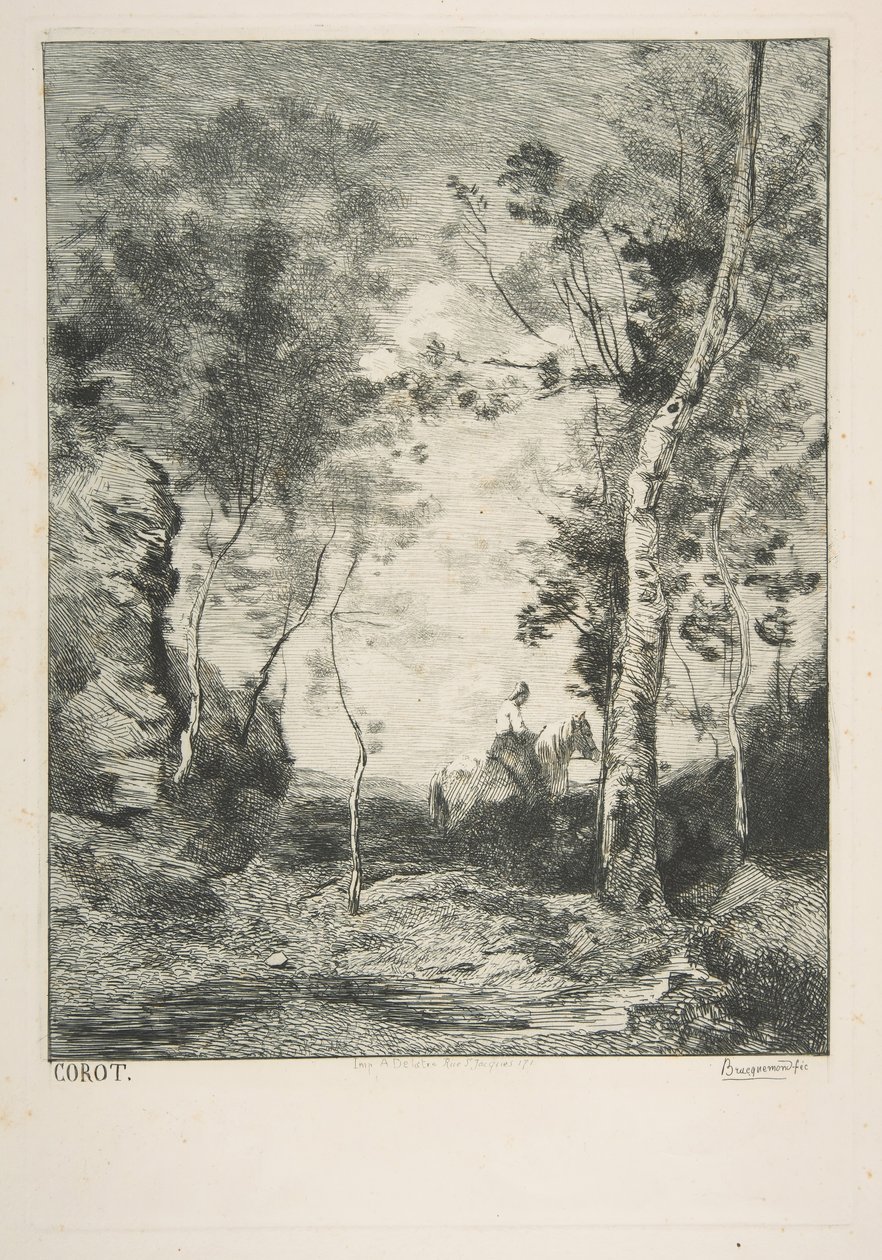 Il cavallo bianco da Felix Bracquemond