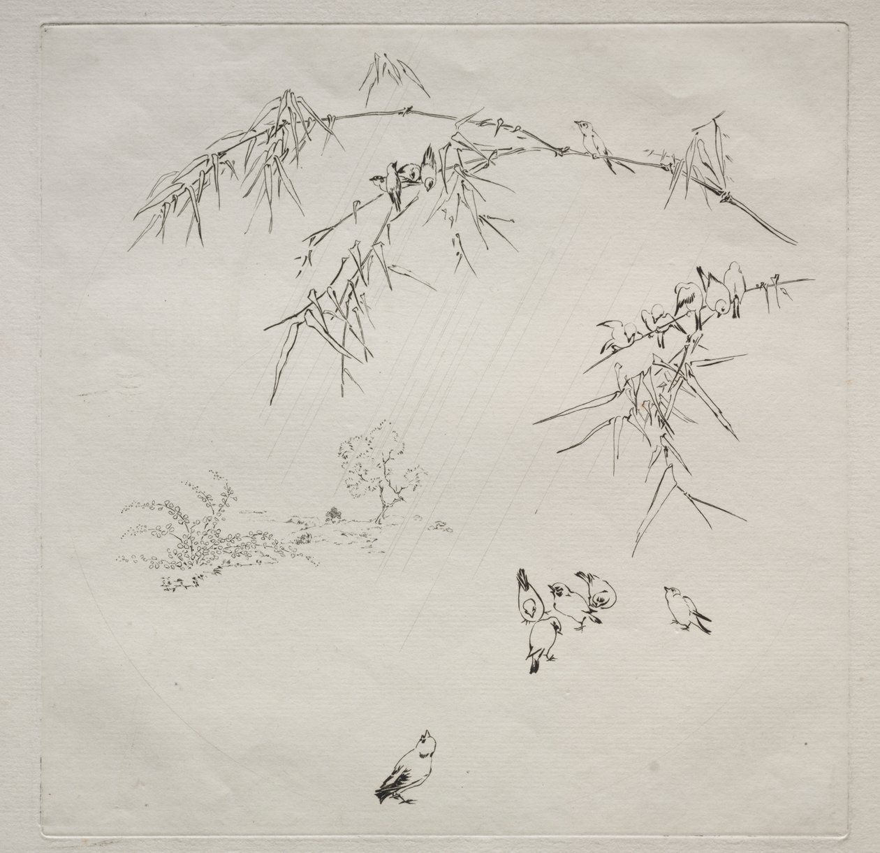 Servizio parigino (servizio Haviland): Pioggia (n. 10) da Felix Bracquemond