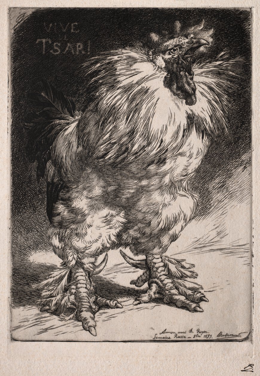 Il gallo francese da Felix Bracquemond