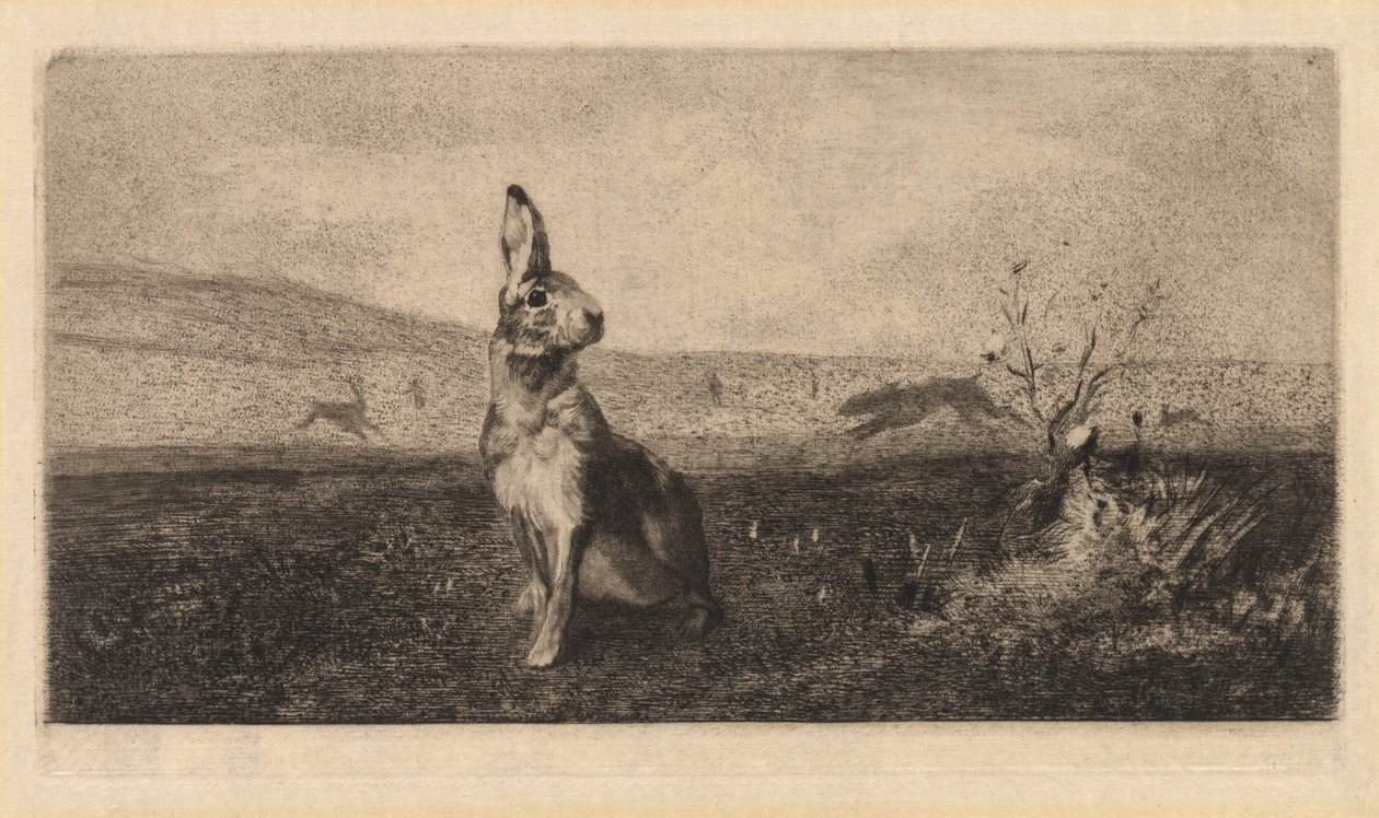 La Lepre, 1865 da Felix Bracquemond