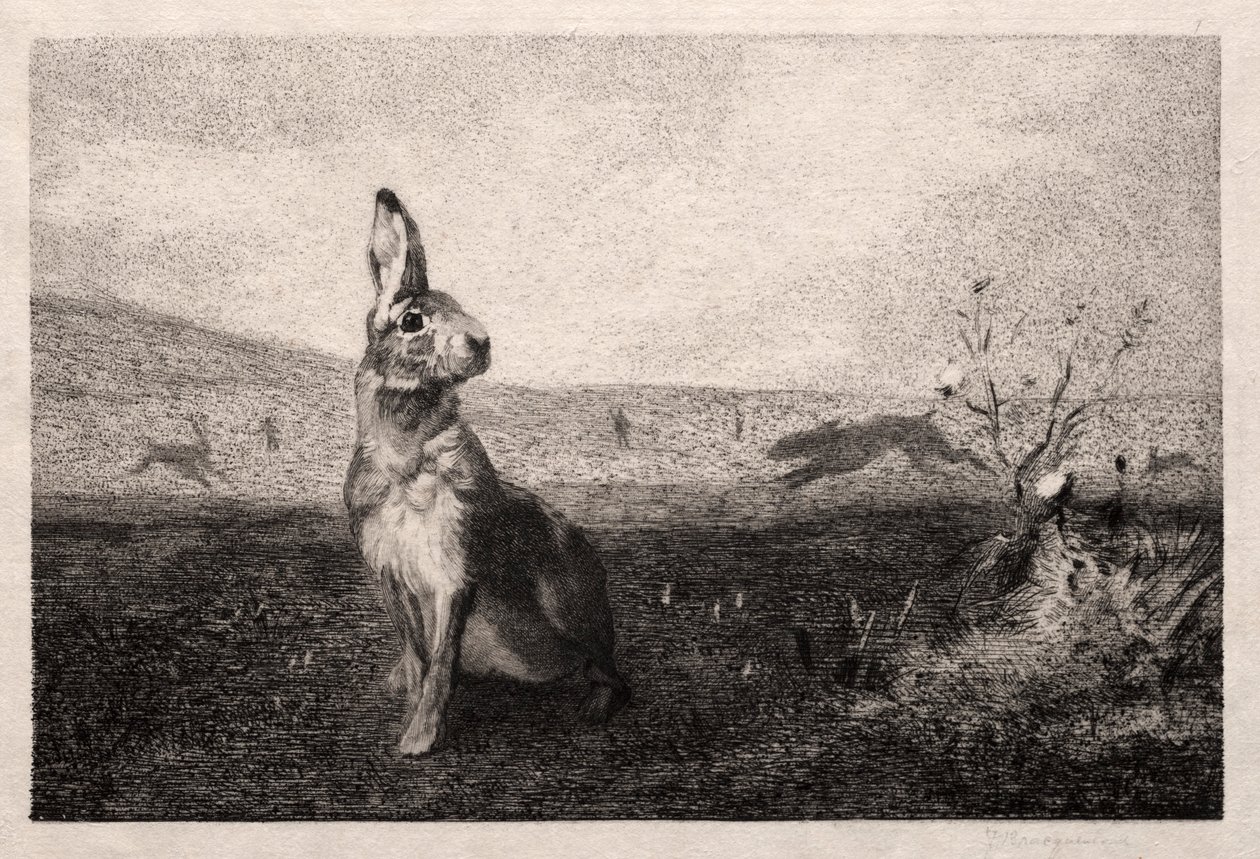 La lepre dopo A. de Balleroy, 1865 da Felix Bracquemond