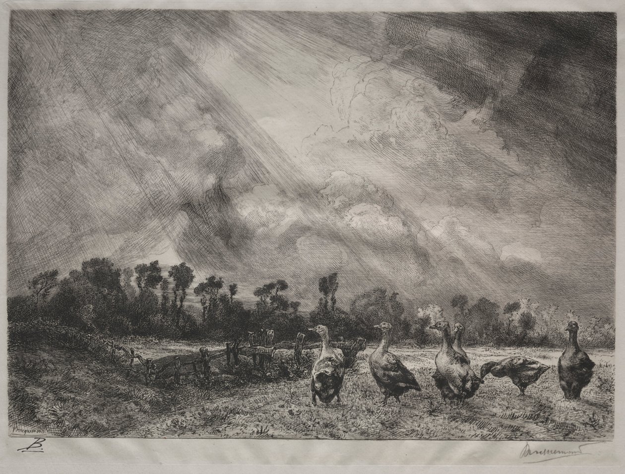 La nuvola di tempesta, 1878-1887 da Felix Bracquemond