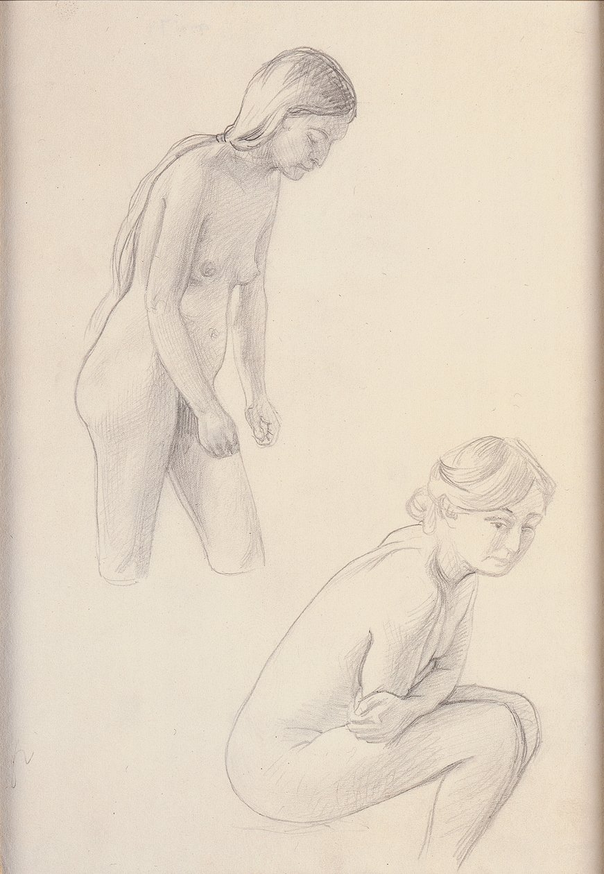 Due nudi da Felix Edouard Vallotton