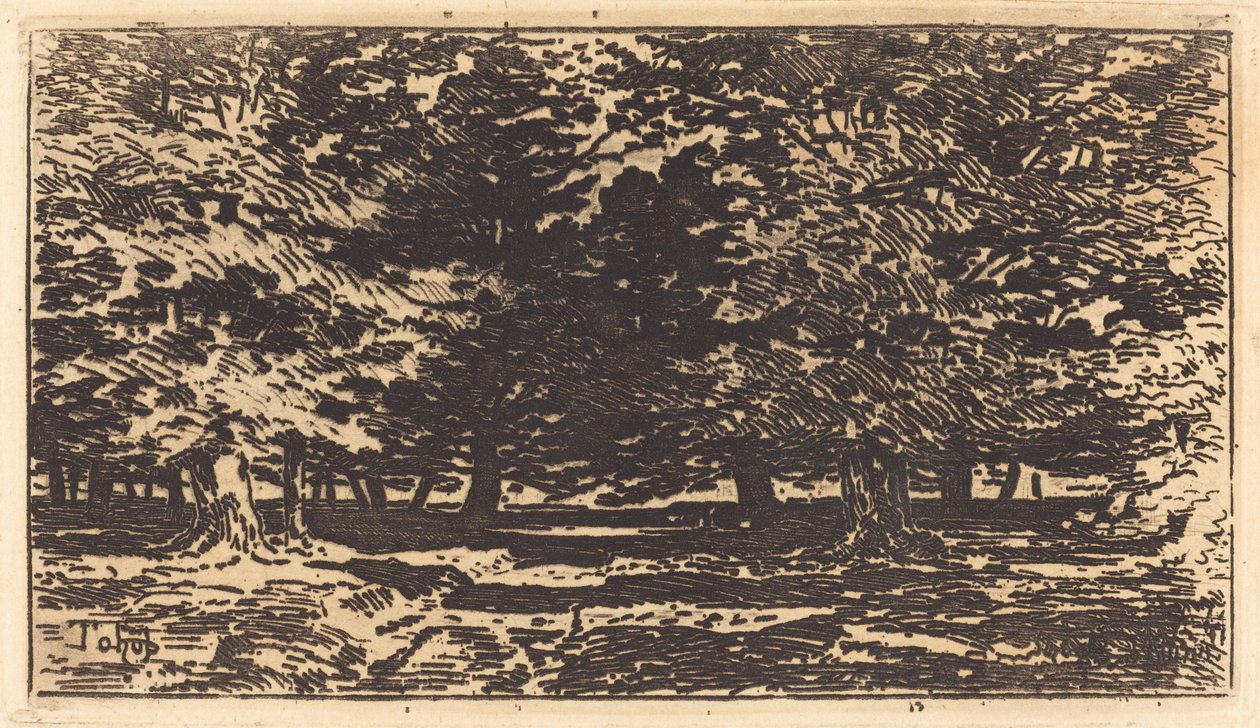 Foresta da Felix Hilaire Buhot