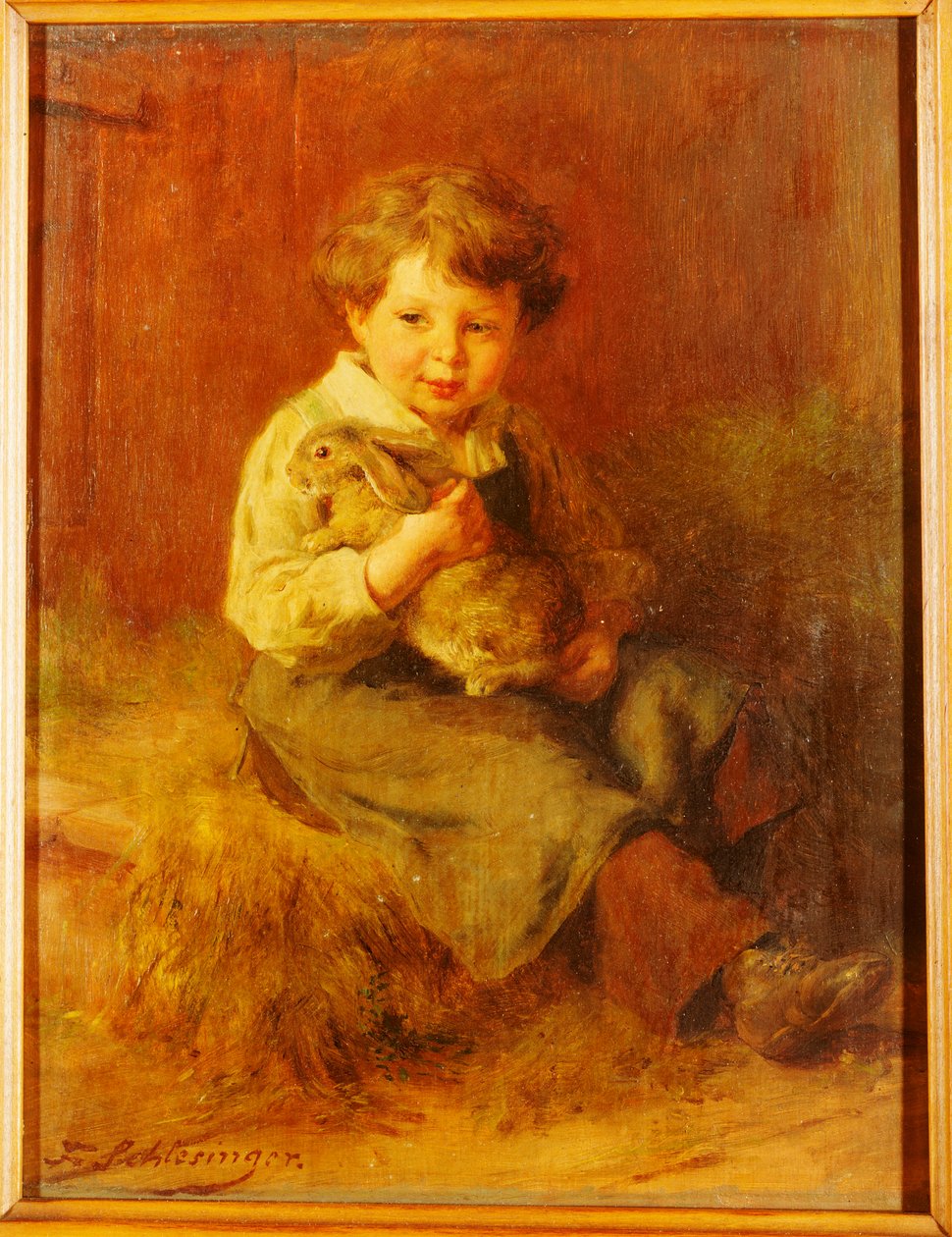 Il Coniglio Domestico da Felix Schlesinger