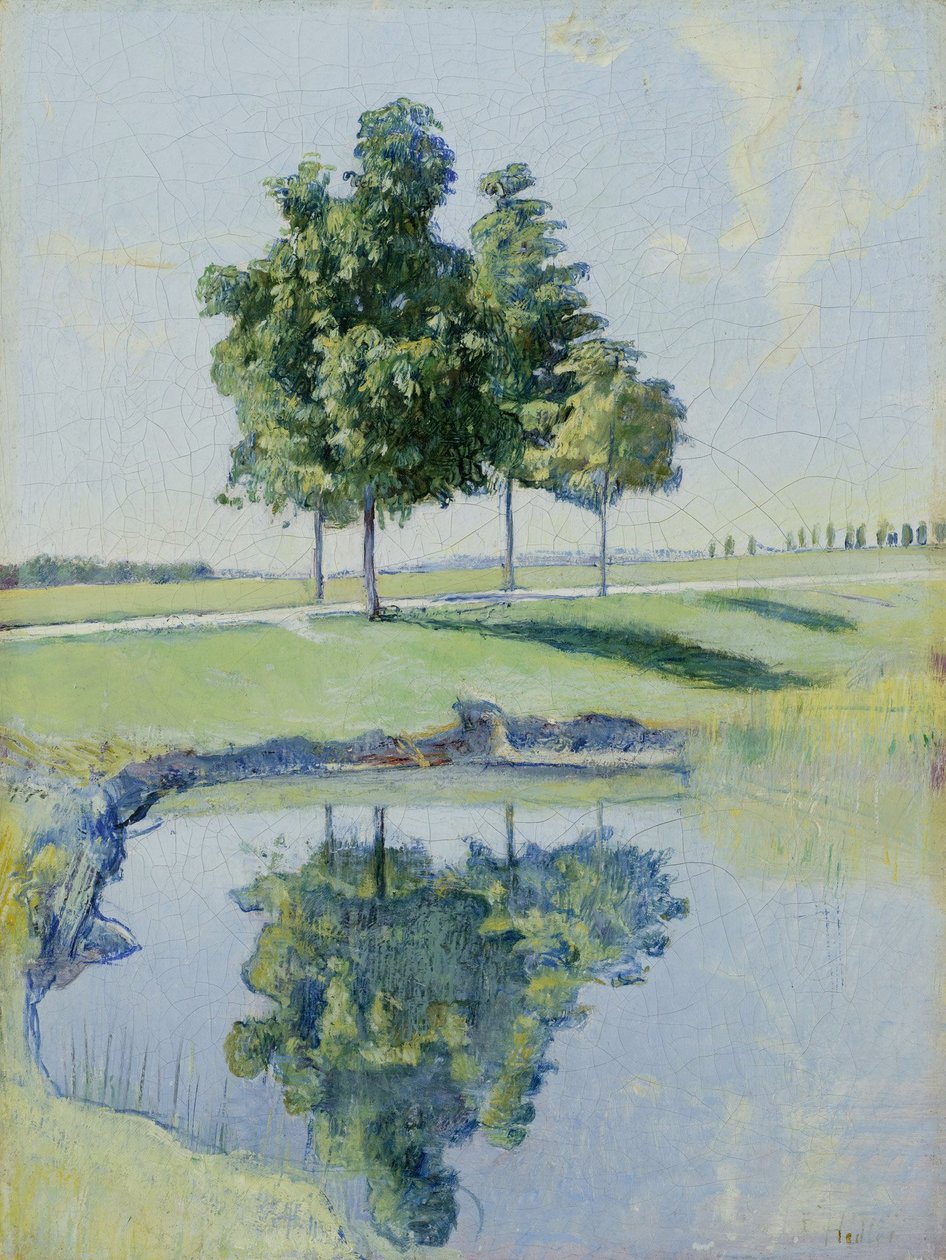 Alberi di castagno da Ferdinand Hodler