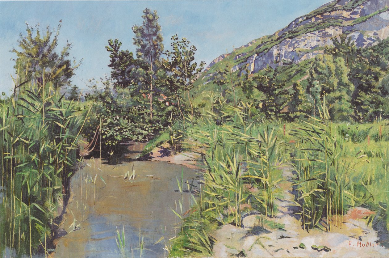 Paesaggio con stagno vicino a Veyrier da Ferdinand Hodler