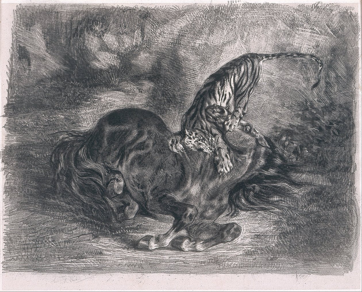Cavallo selvaggio abbattuto da una tigre da Ferdinand Victor Eugene Delacroix