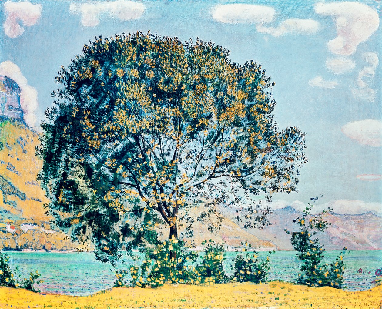 Immagine sconosciuta da Ferdinand Hodler