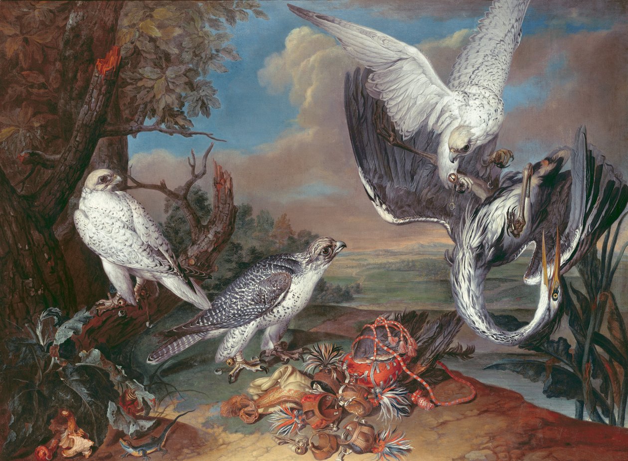 Falchi di Groenlandia da Ferdinand Phillip de Hamilton