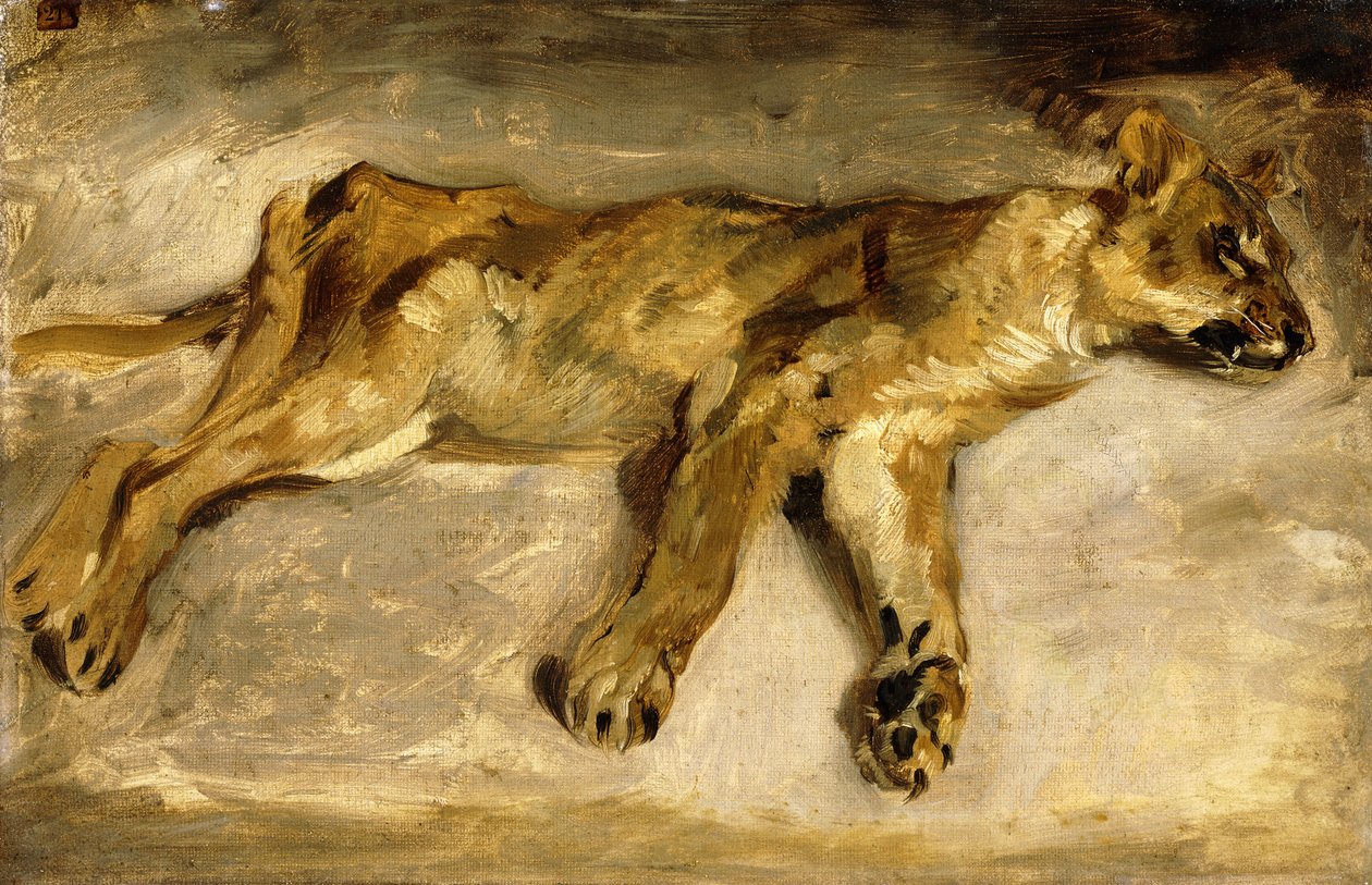 Una leonessa addormentata, c.1830 da Ferdinand Victor Eugene Delacroix