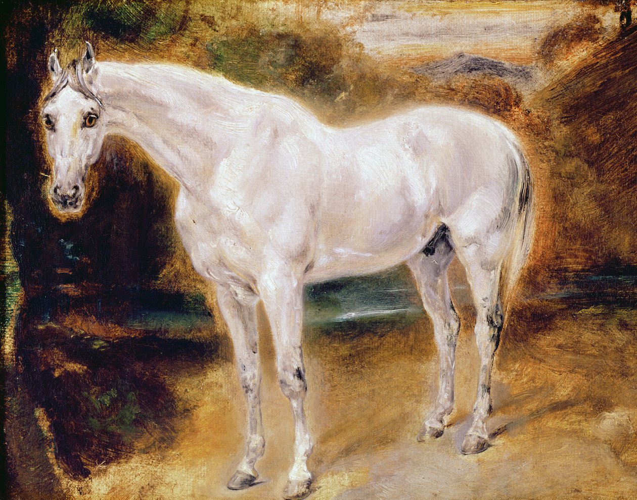 Cavallo Bianco da Ferdinand Victor Eugene Delacroix