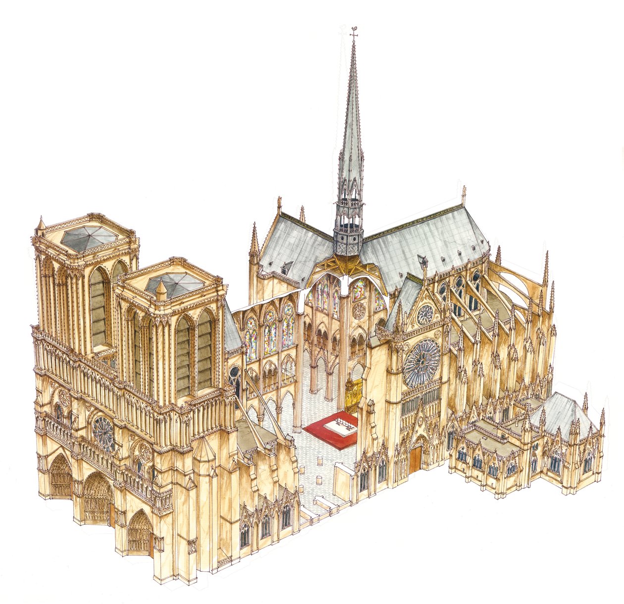 Cattedrale di Notre-Dame. Parigi, Francia da Fernando Aznar Cenamor