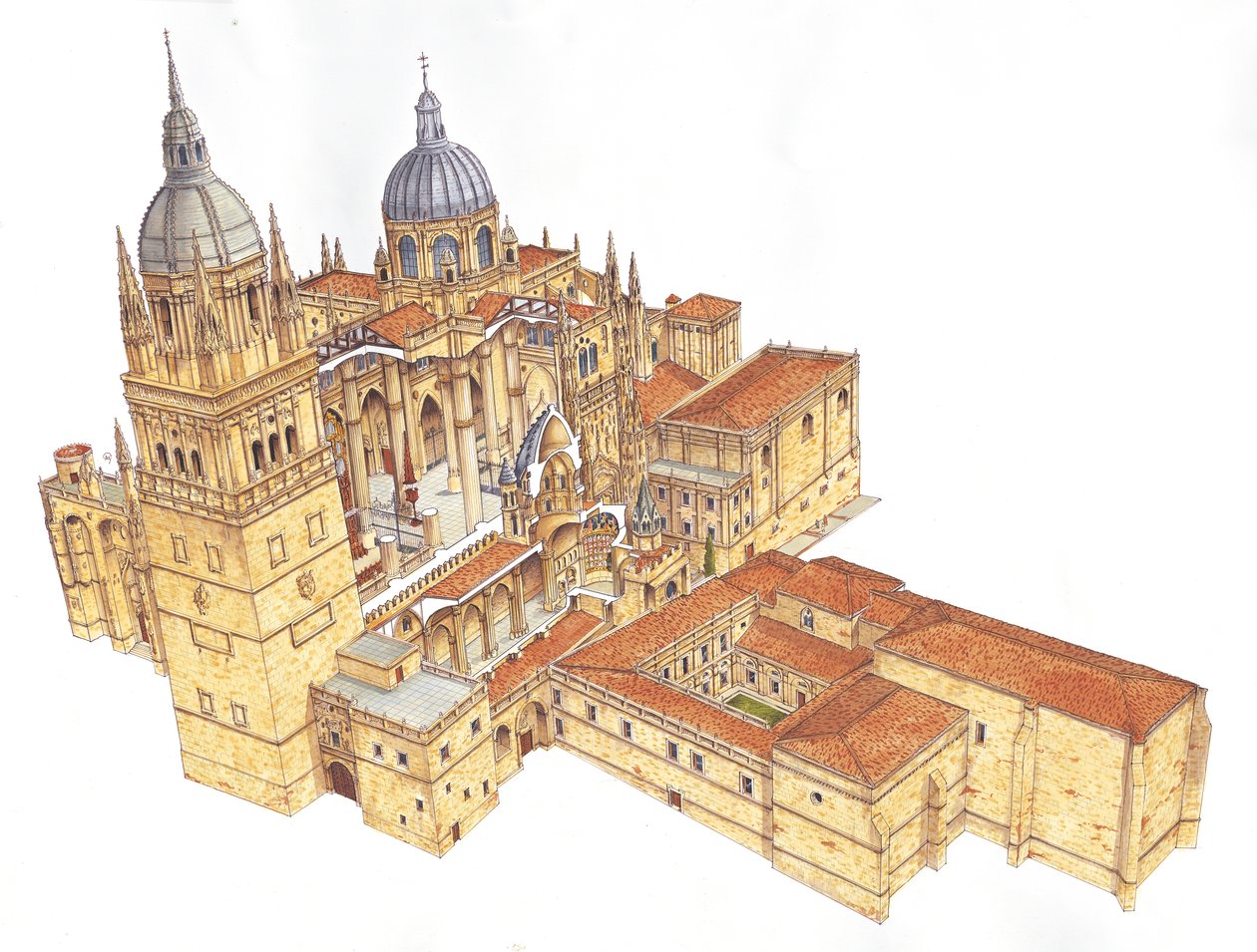 Cattedrale di Salamanca, Spagna da Fernando Aznar Cenamor