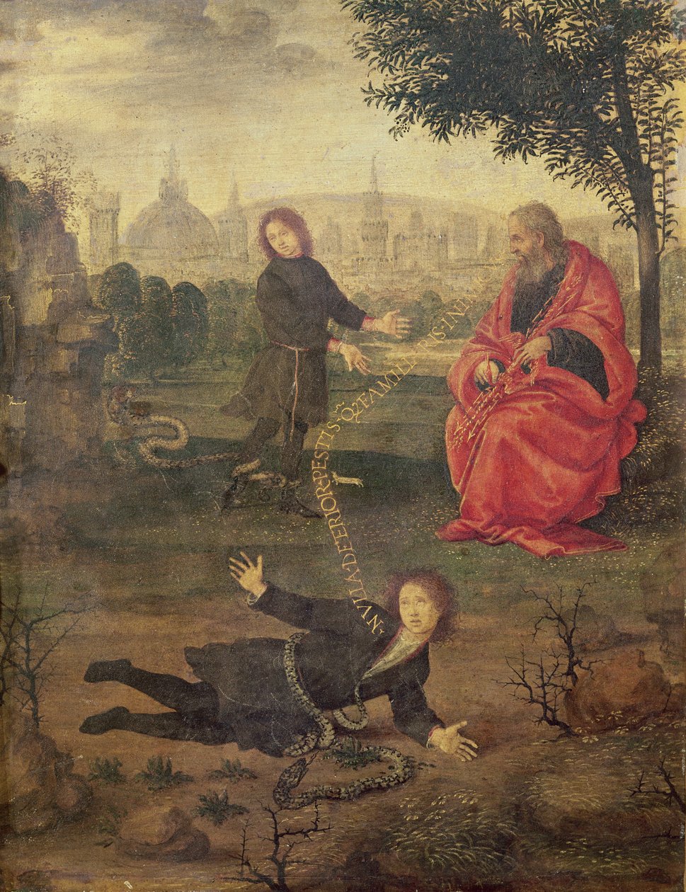Allegoria, c.1485-90 da Filippino Lippi