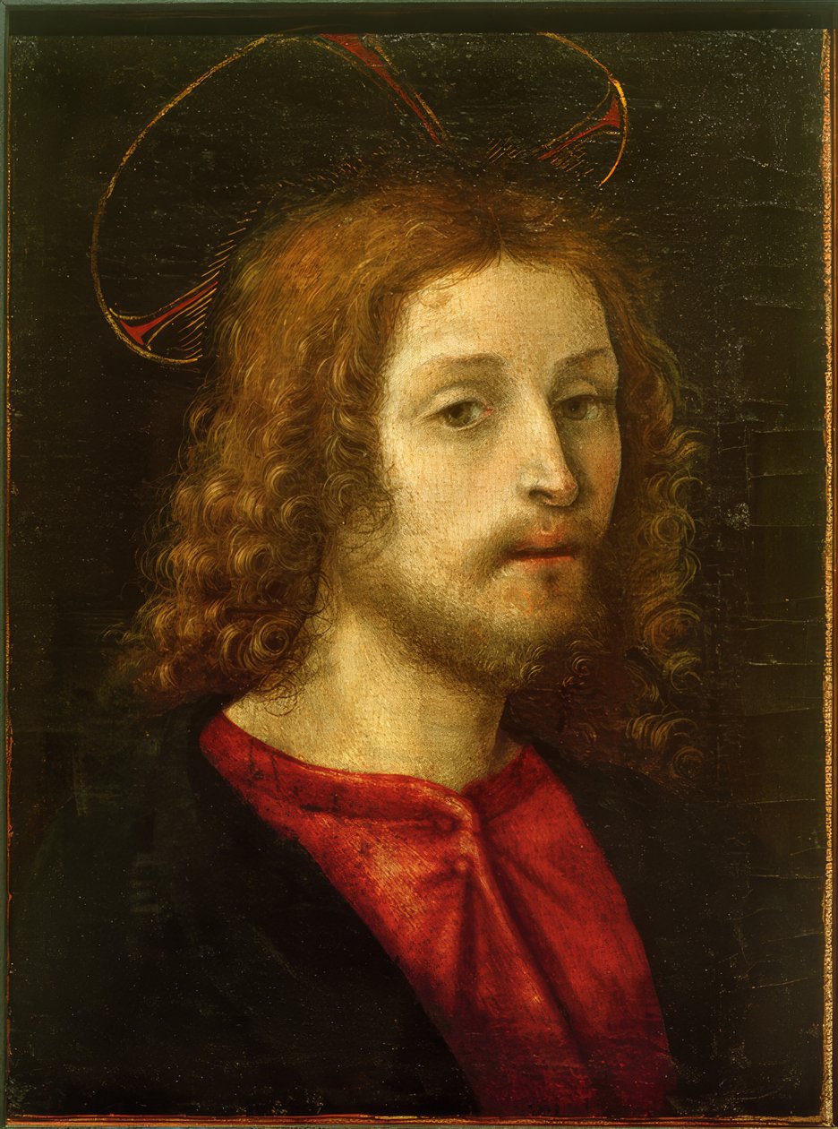 Testa di Cristo da Filippino Lippi