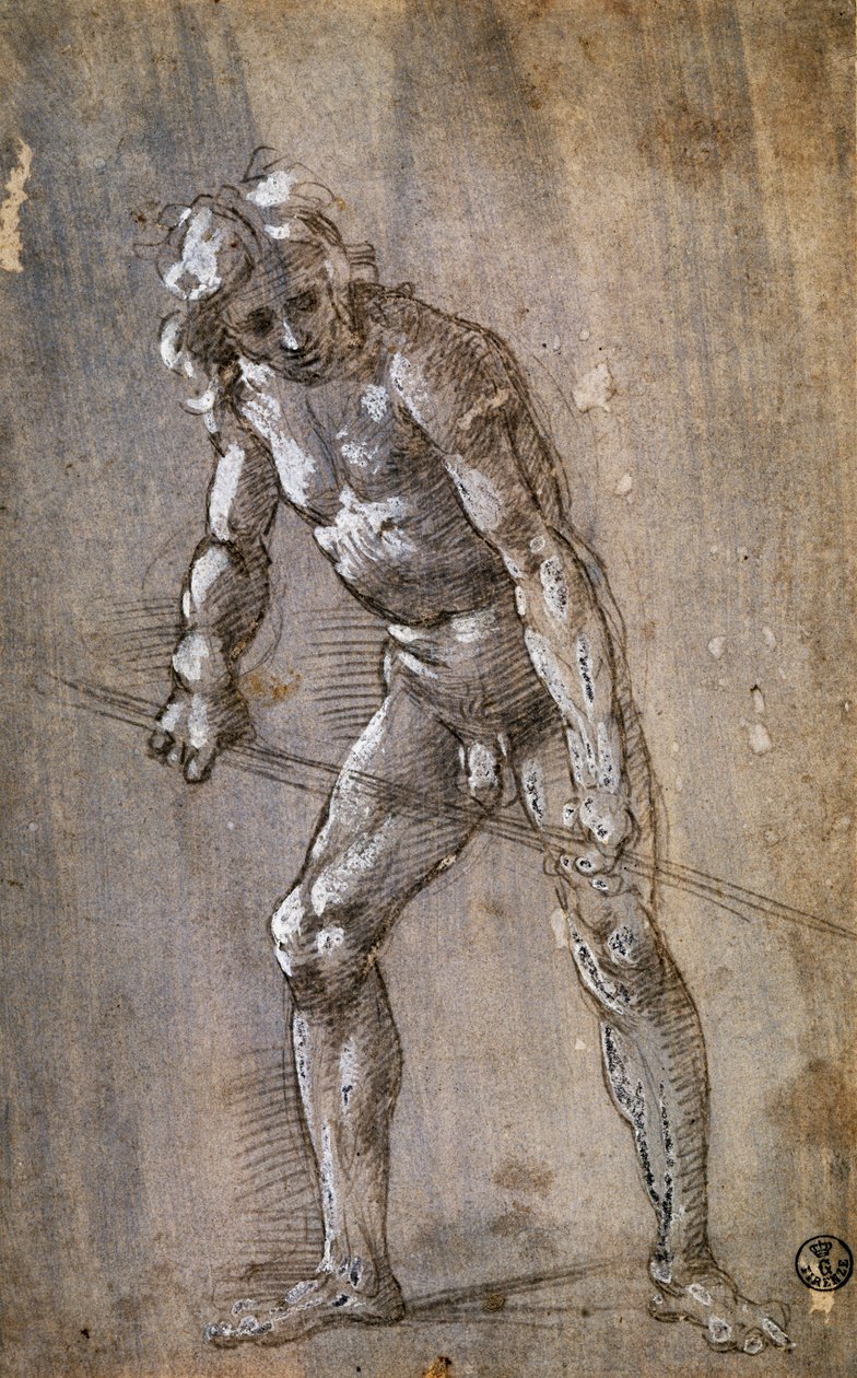 Figura maschile da Filippino Lippi