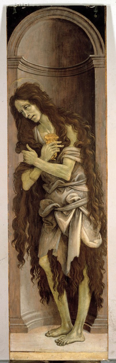 Immagine sconosciuta da Filippino Lippi