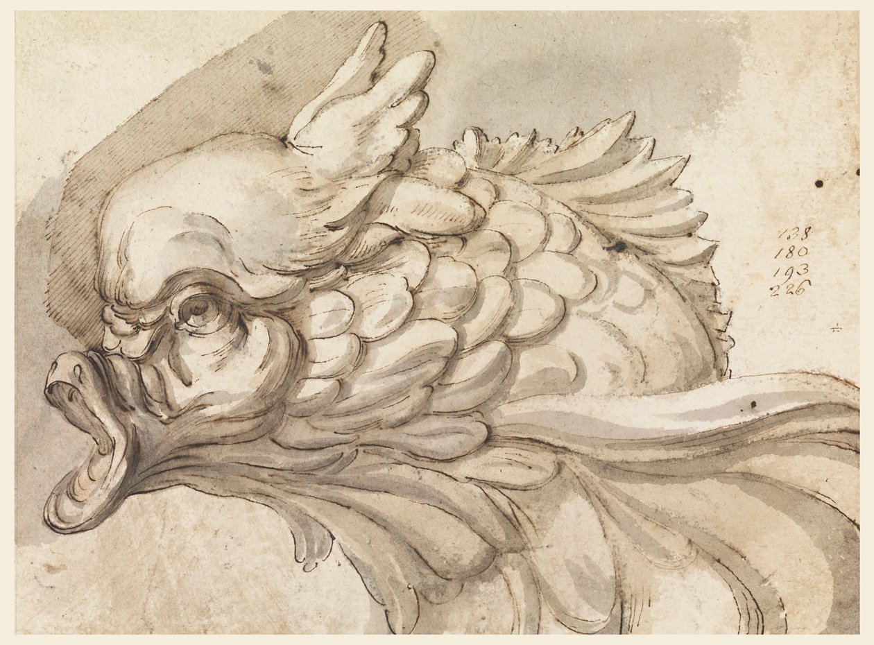 Disegno, Testa di un delfino, ca. 1775 da Filippo Marchionni