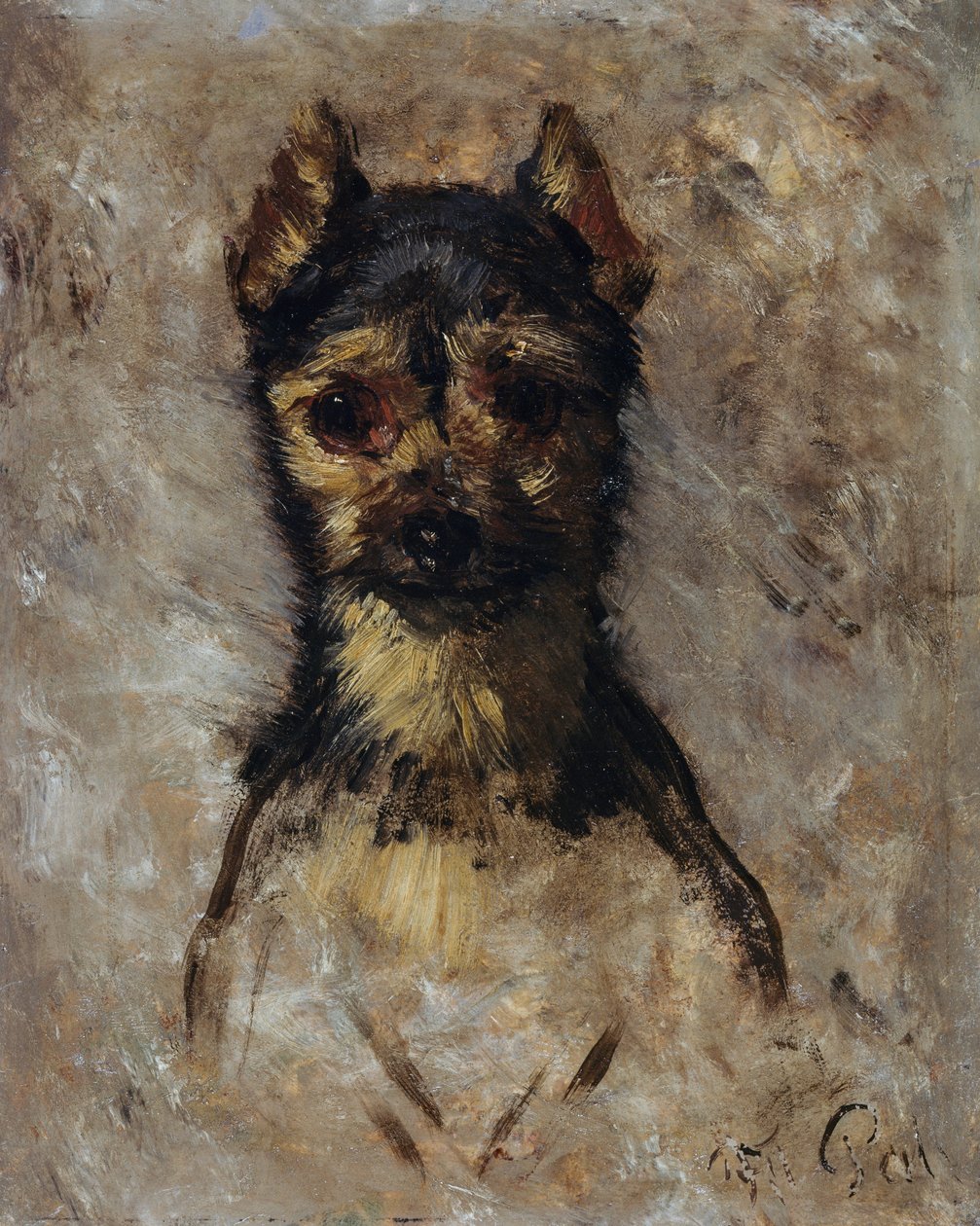Testa di cane da Filippo Palizzi