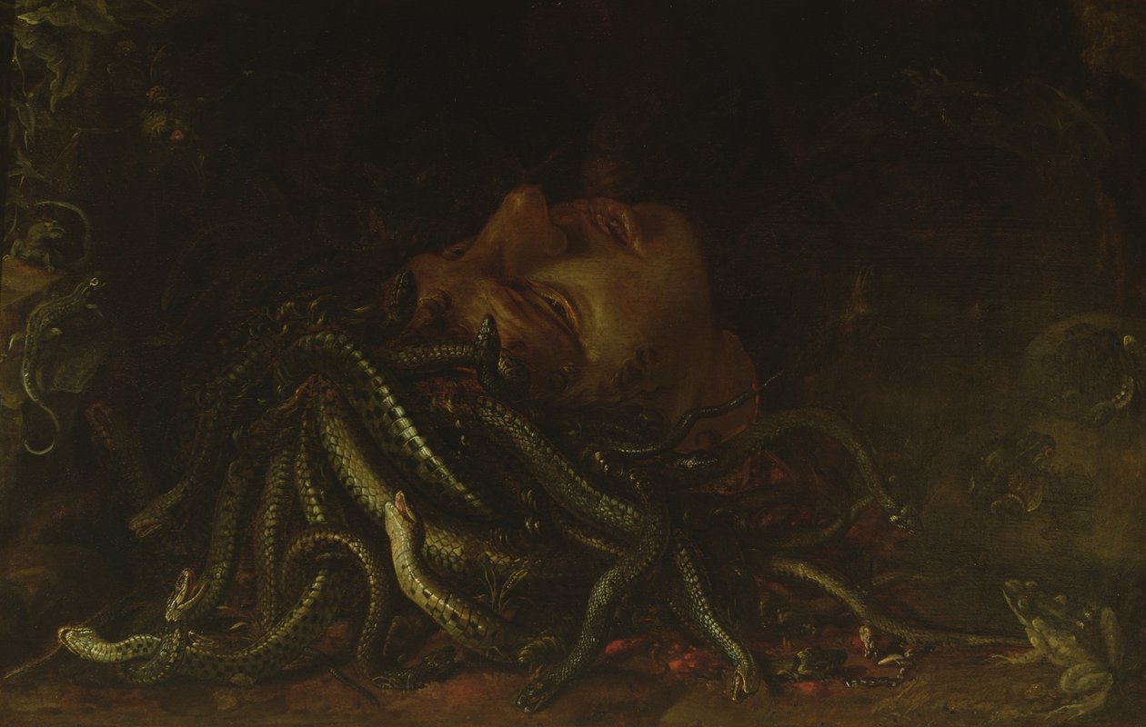 Testa di Medusa da Flemish School