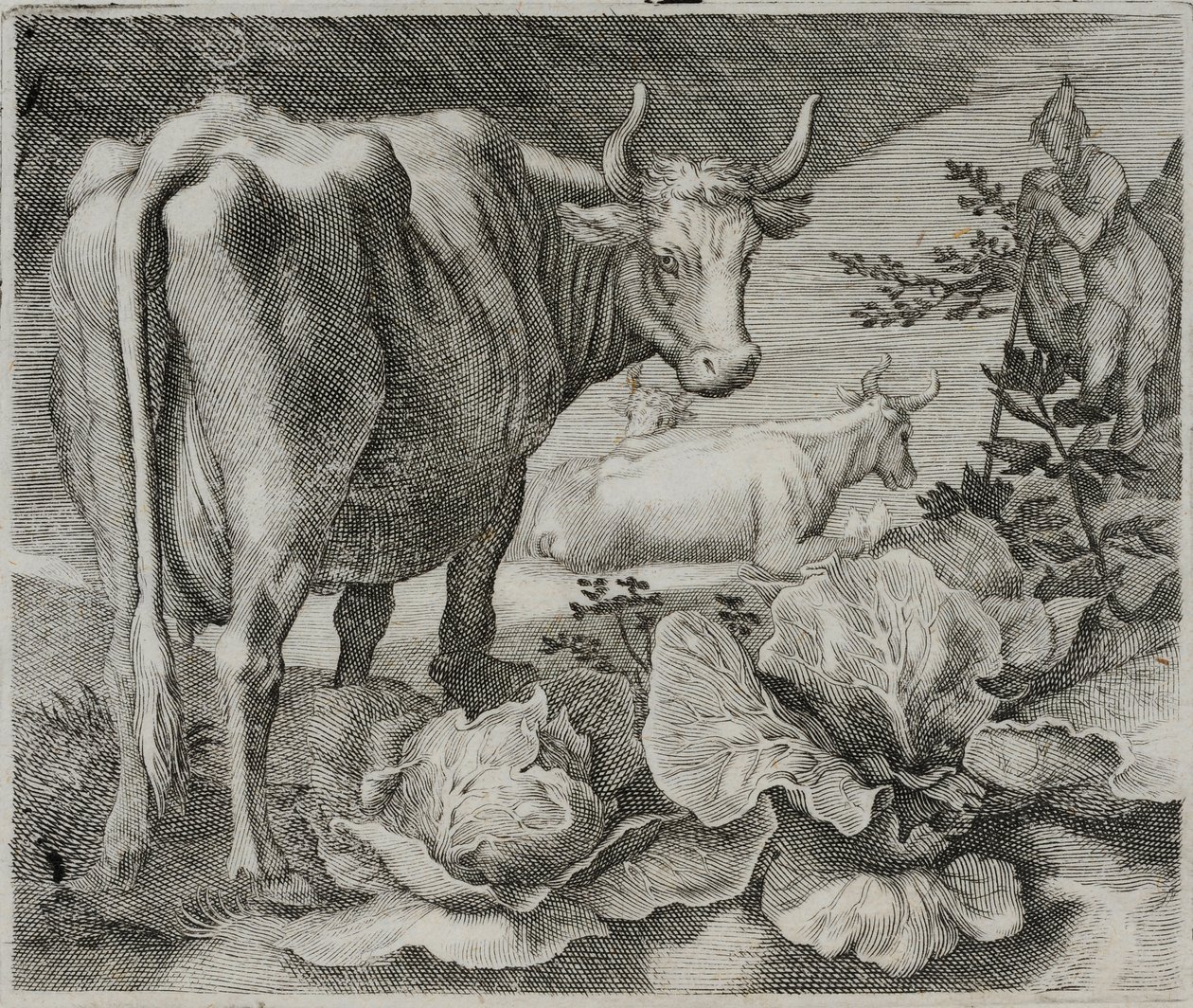 Incisione di un antico maestro da Flemish School