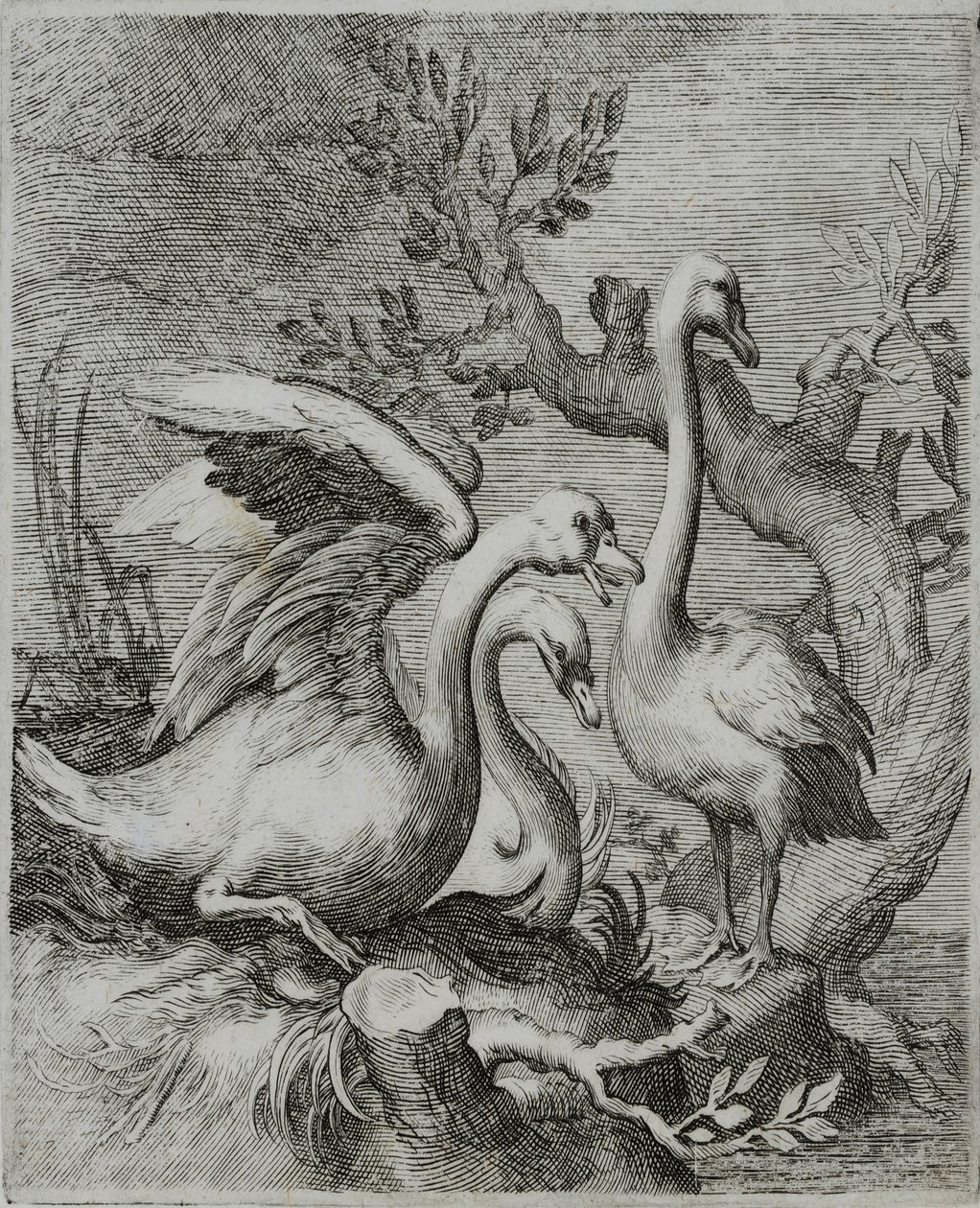 Incisione di un antico maestro da Flemish School