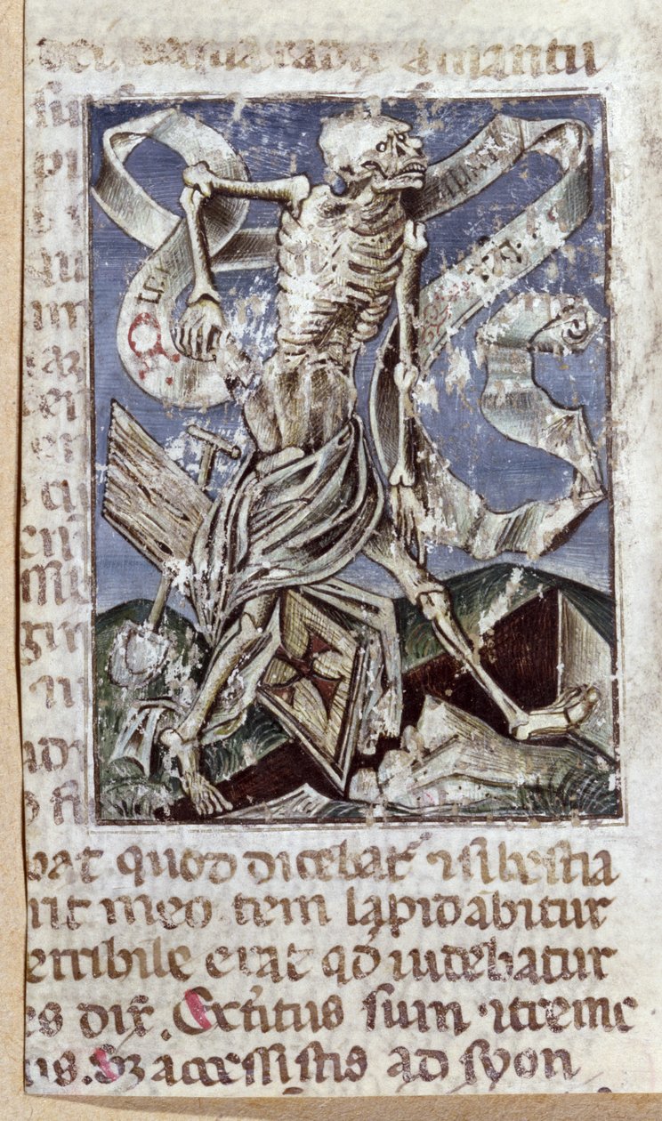 Il Trionfo della Morte da Flemish School