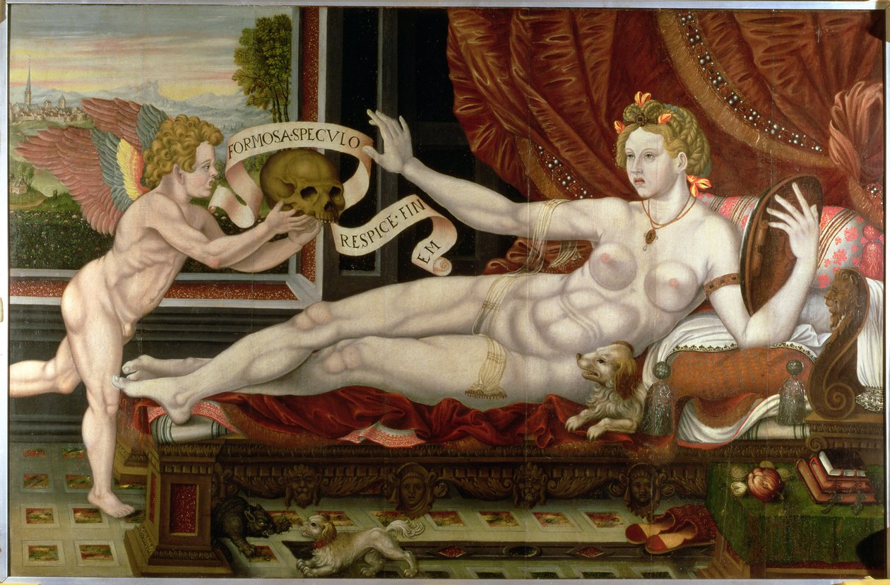 Vanitas da Flemish School