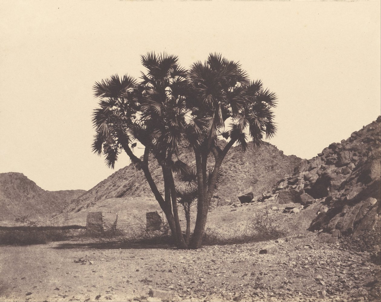 Egitto e Nubia. Siti e monumenti da Félix Teynard