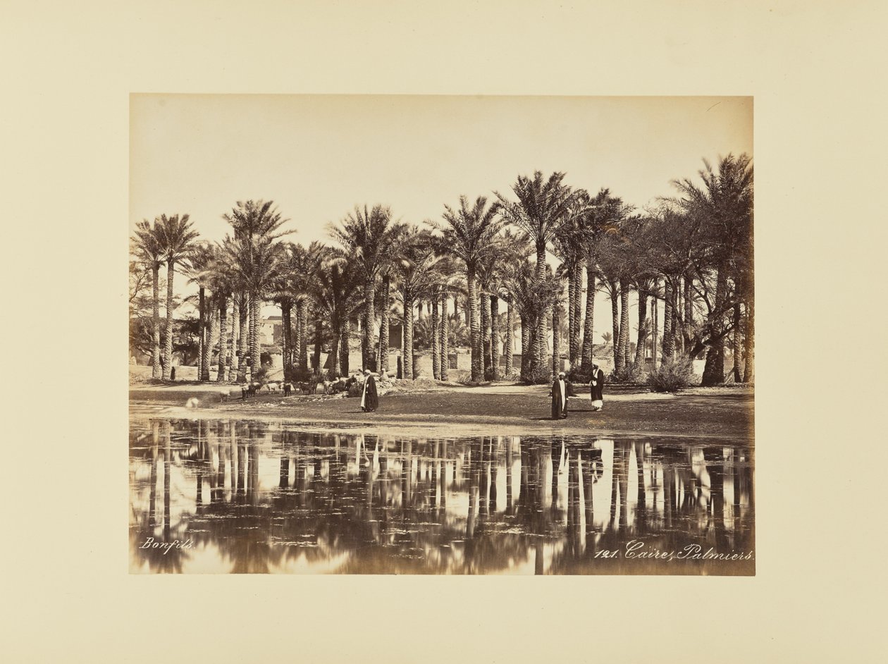Il Cairo, Le palme da Félix Bonfils