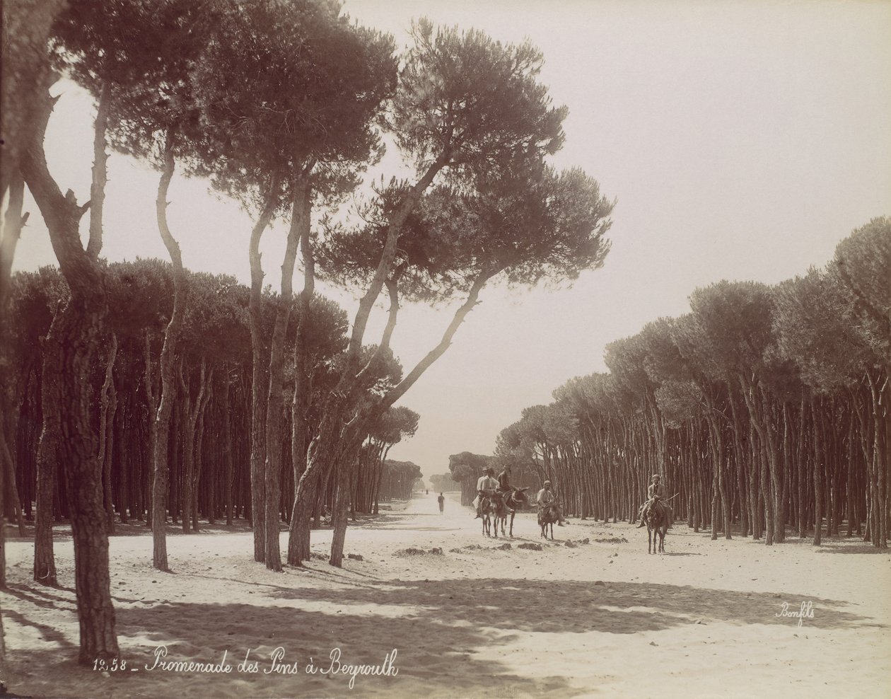 Promenade des Pins a Beirut da Félix Bonfils