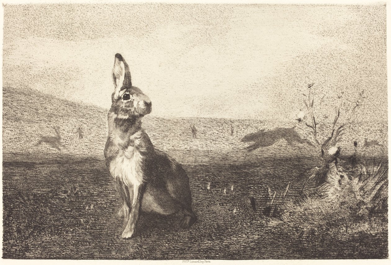La lepre da Félix Bracquemond after Albert de Balleroy