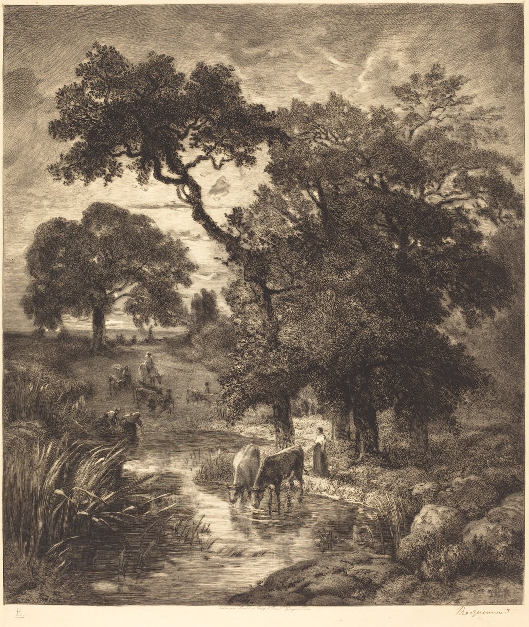 Sera da Félix Bracquemond after Théodore Rousseau